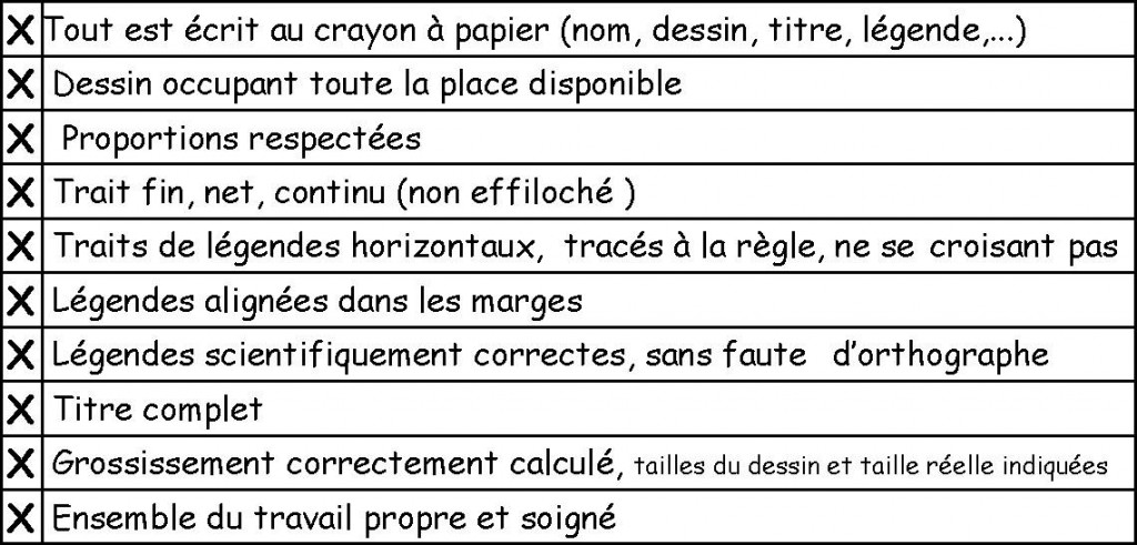 grille eval dessin obs