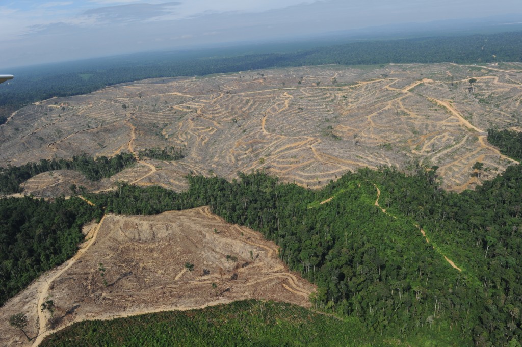 sumatra_deforestation1